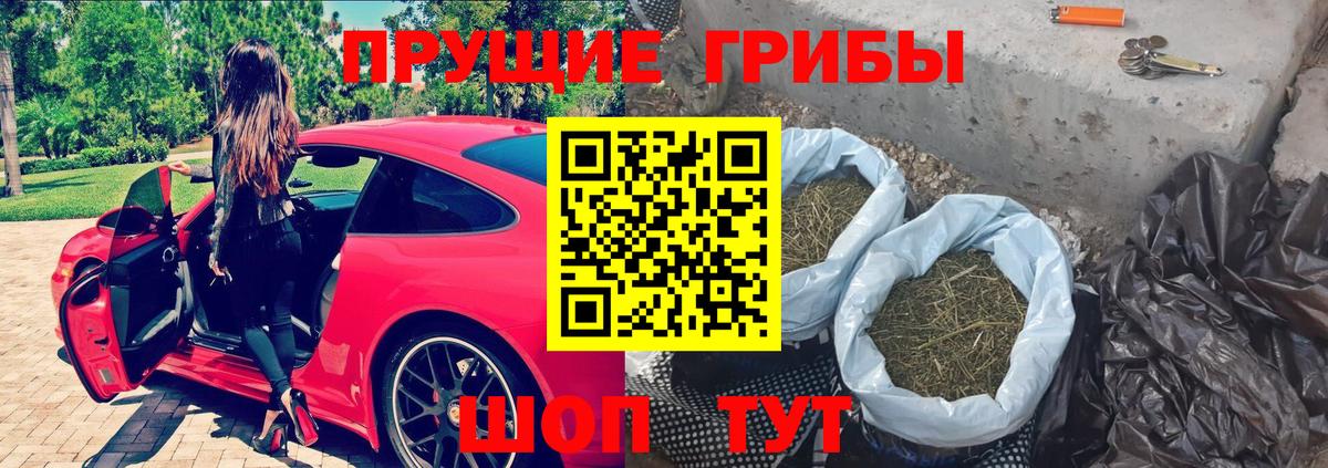 Псилоцибиновые грибы мухоморы  Вход с VPN  Пенза 